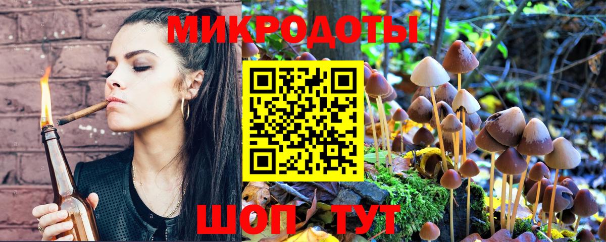 Псилоцибиновые грибы Psilocybine cubensis Азов
