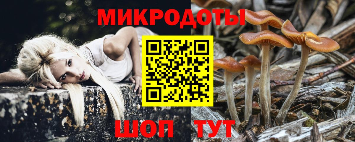 Галлюциногенные грибы Cubensis  Вход с VPN  Азов 